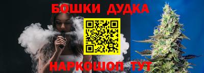 индика Ливны