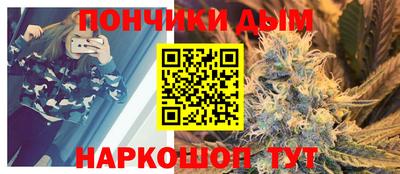 индика Ливны